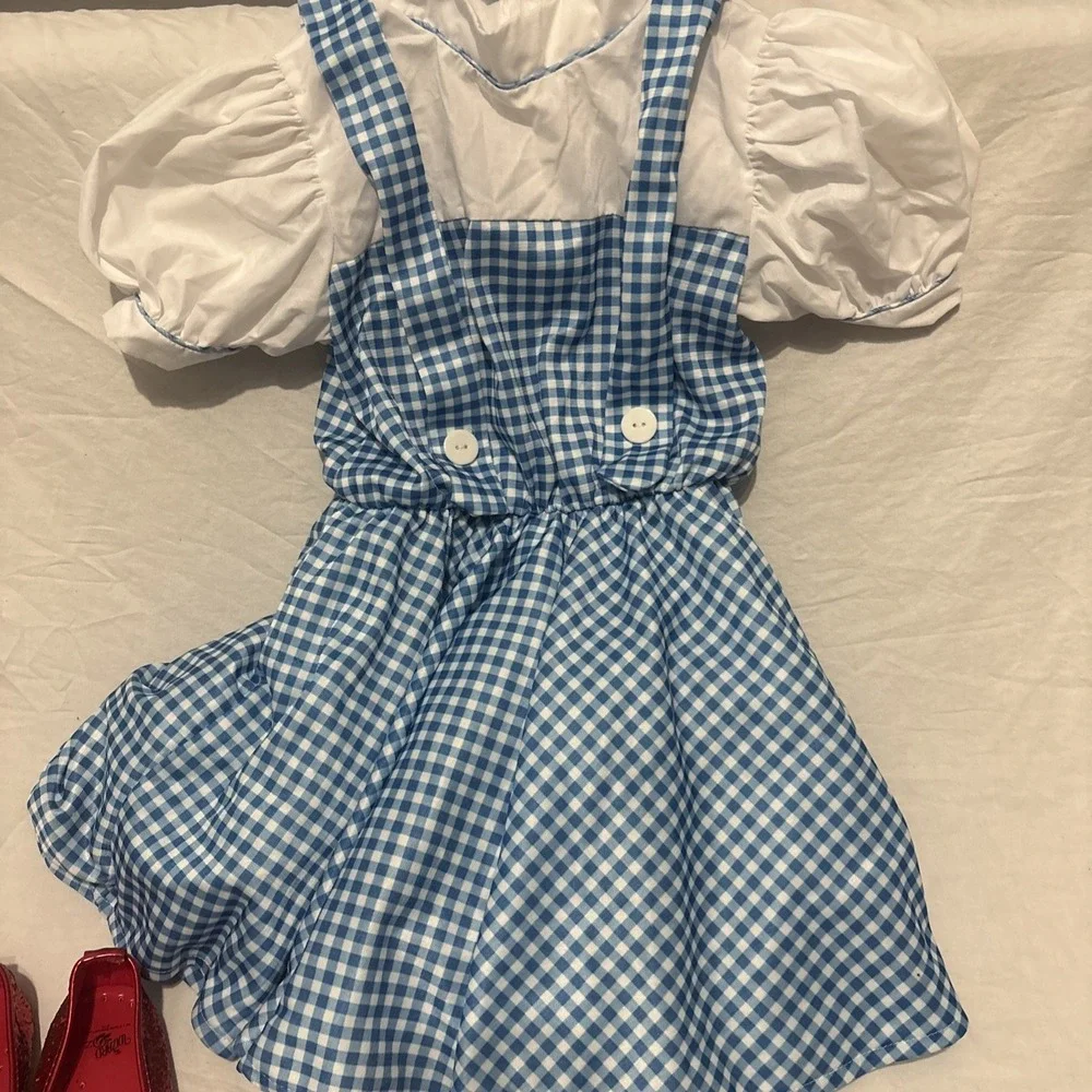 Rubie’s dorothy wizard